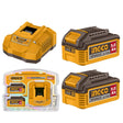 **INGCO 20V lithium-ion battery and charger kit with two 5.0Ah batteries**
